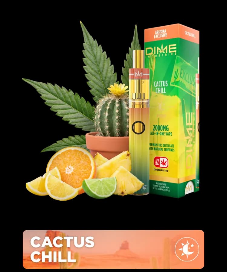Cactus Chill